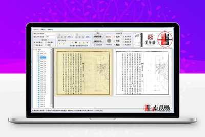 专业免费的图像去灰度漂白校正工具